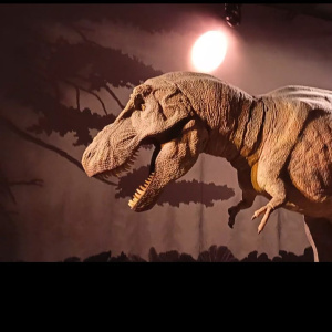 T-Rex au Natural History Museum