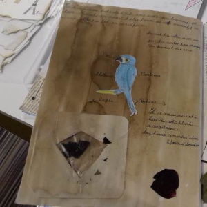 20210608_094615modif