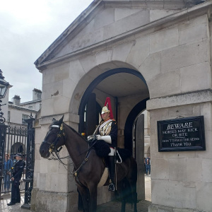 info document - Horse Guard