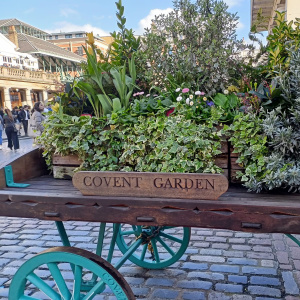 Covent Garden