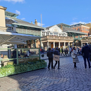 Covent Garden