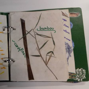 20210608_095151modif