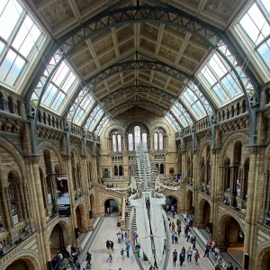 Natural History Museum