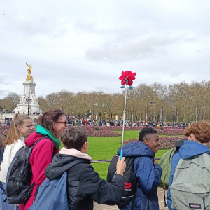 Krakow à Buckingman Palace