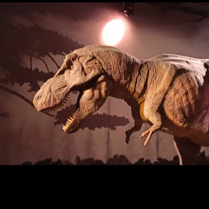 T-Rex au Natural History Museum