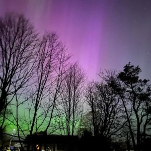 A picture of the Northern Lights